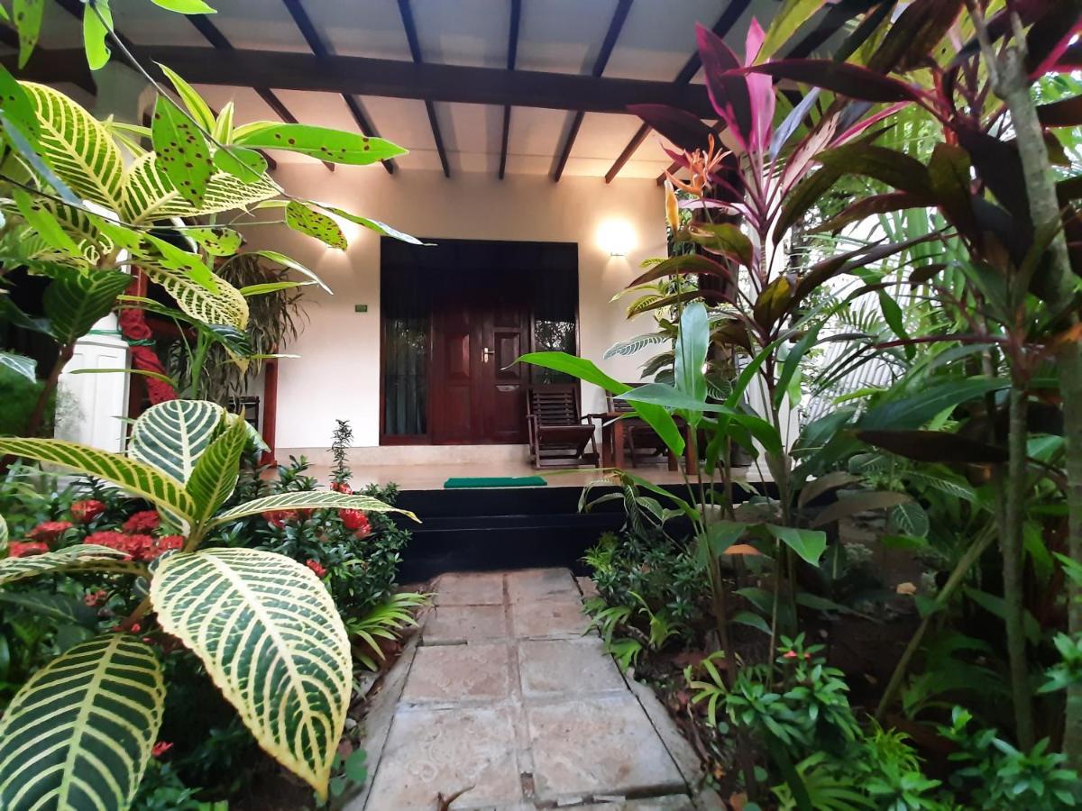 The Otunna Guest House Sigiriya Exterior foto