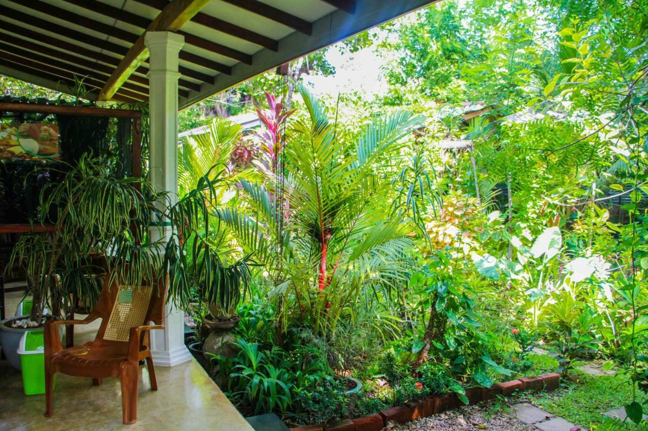 The Otunna Guest House Sigiriya Exterior foto