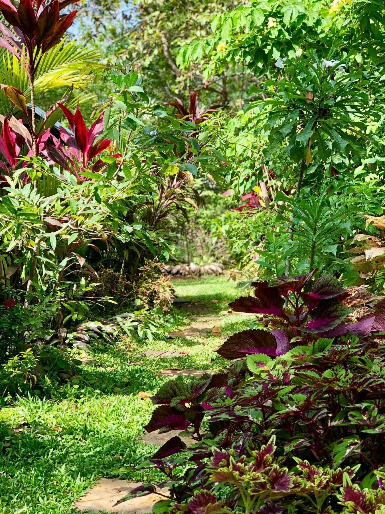 The Otunna Guest House Sigiriya Exterior foto